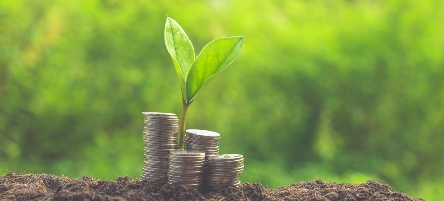 Ayudas para emprendedores