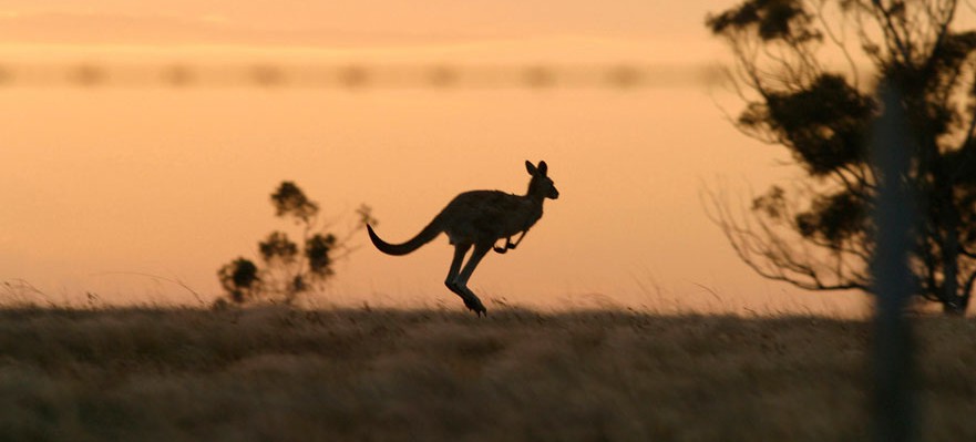 Becas Endeavour para estancias en Australia