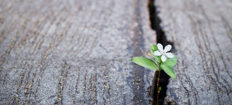 Qué es la recolocación