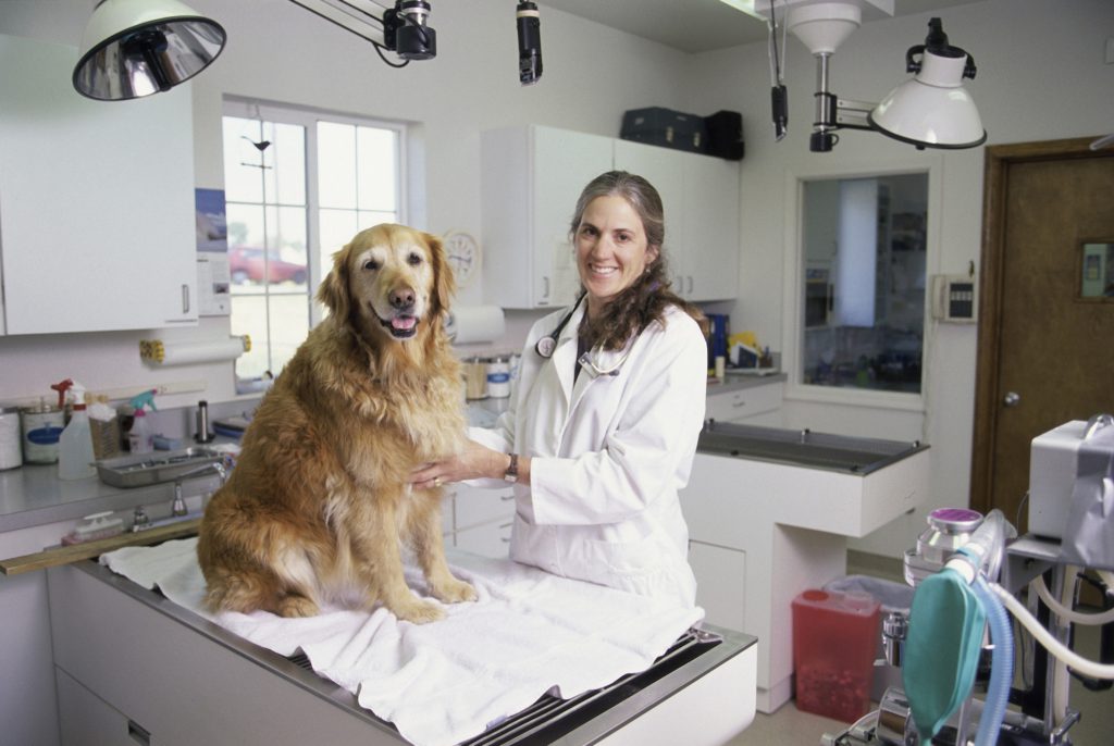 Clínica veterinaria