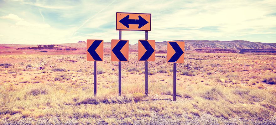 Elabora tu itinerario formativo