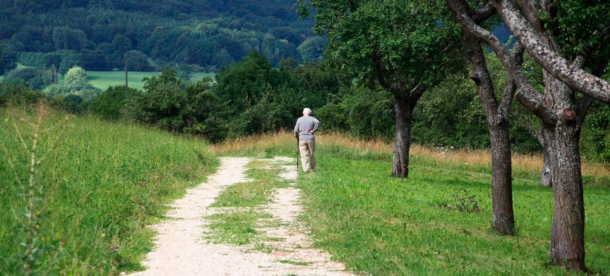 Pensión de viudedad: cuestiones básicas