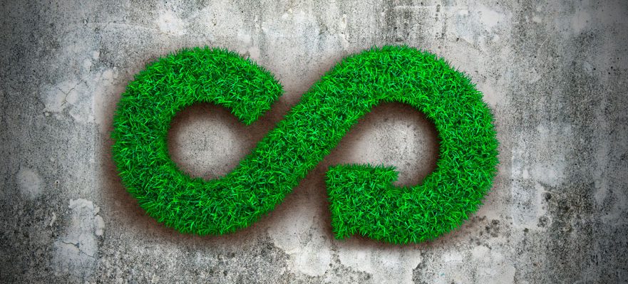 Empleo en Sostenibilidad y Medio Ambiente: Especialista en economía circular