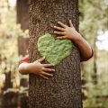 Experto en sostenibilidad ambiental, ¿qué futuro tiene esta profesión?