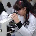 Estudiantes de FP realizando prácticas