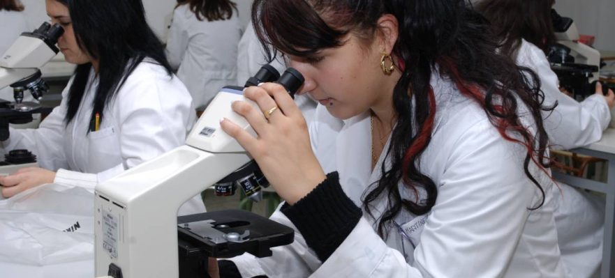 Estudiantes de FP realizando prácticas