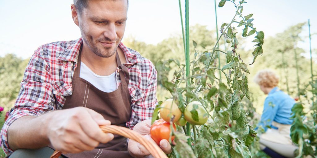 El paro en agosto ha descendido en el sector agrícola