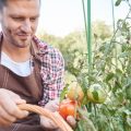 El paro en agosto ha descendido en el sector agrícola